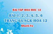 Bài tập đại cương Polime: Giải bài 1, 2, 3, 4, 5, 6 trang 64 SGK...